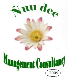Consultoría Ñuu dee Logo